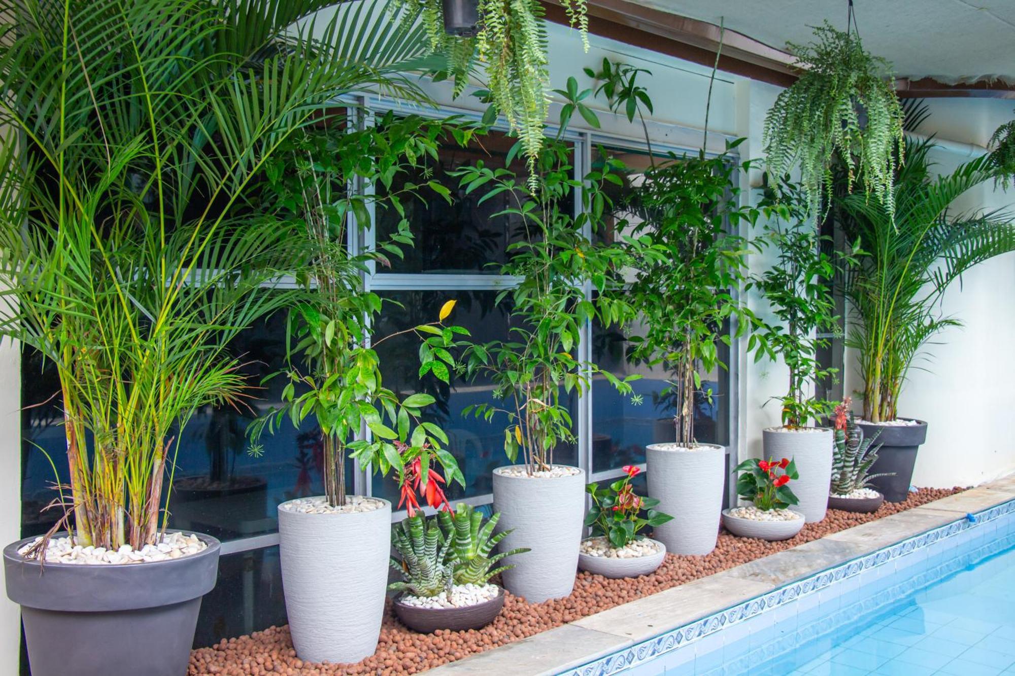 Prestige Manaus